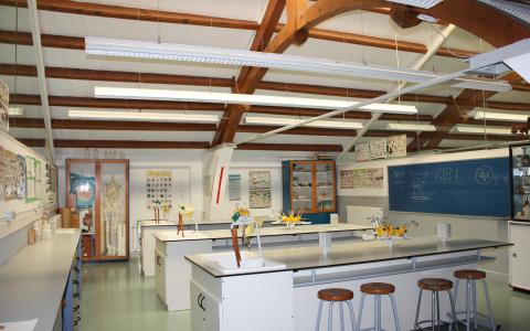 Laboratoris